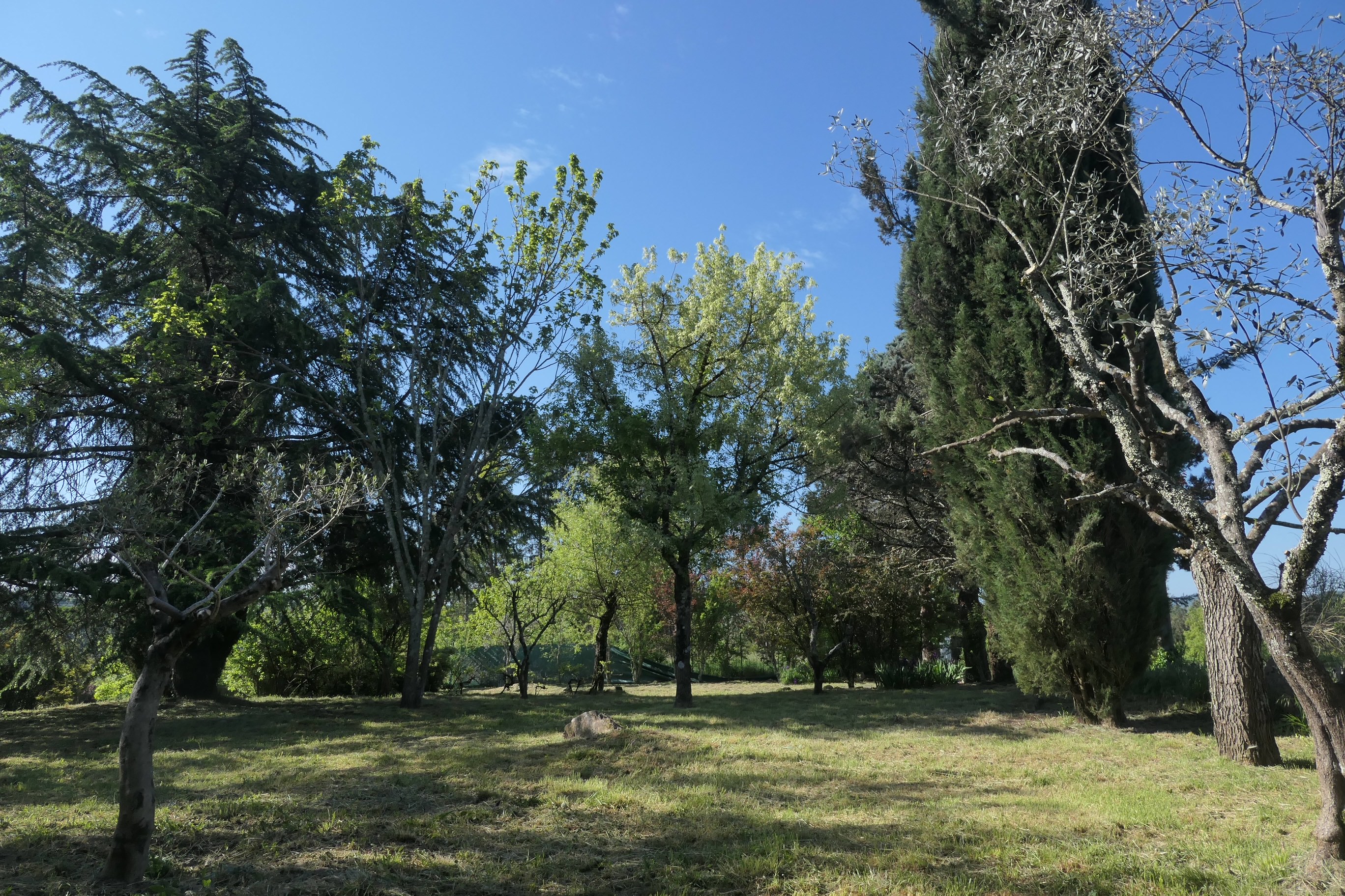 Jardin
